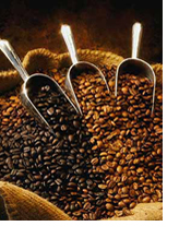 beans Coffee Service for Businesses in New Jersey and New York